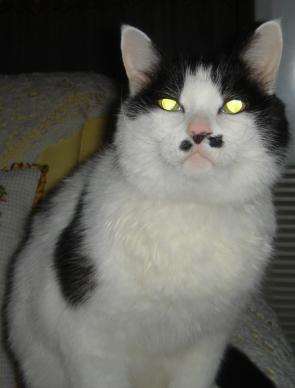 鿴ͼƬ
