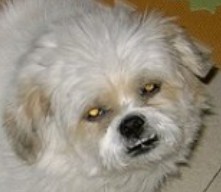 鿴ͼƬ
