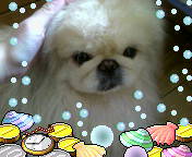 鿴ͼƬ