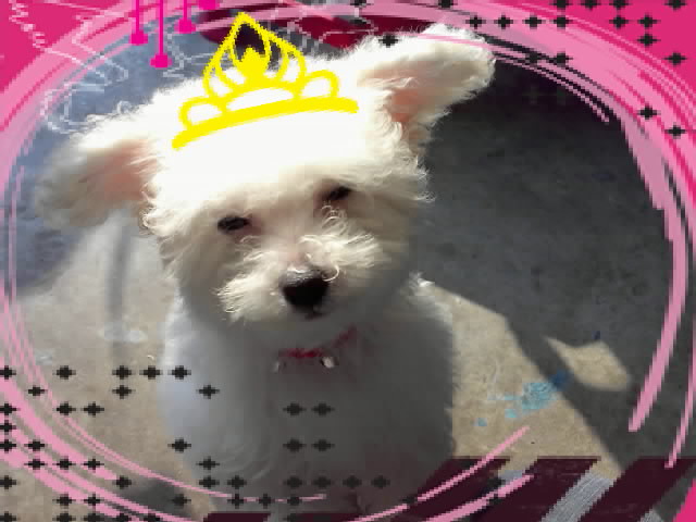 鿴ͼƬ