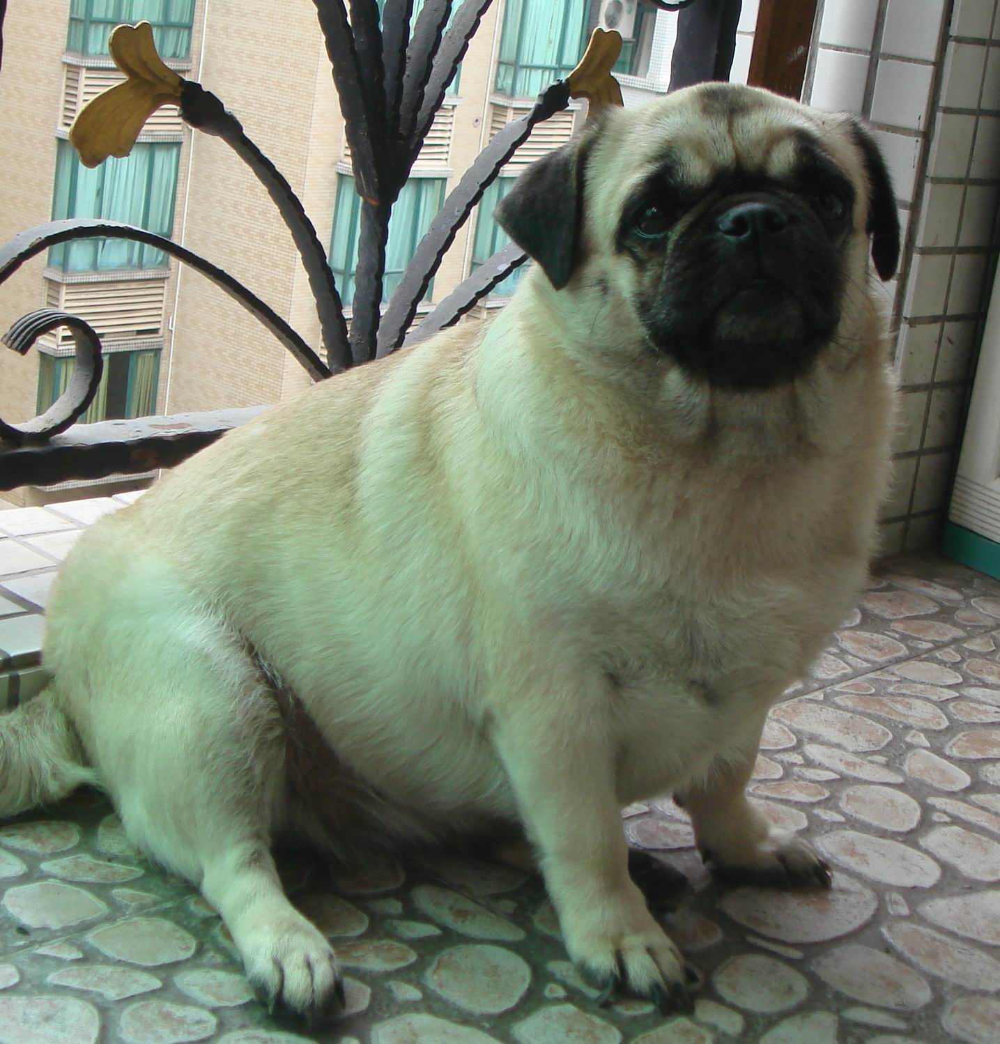 鿴ͼƬ