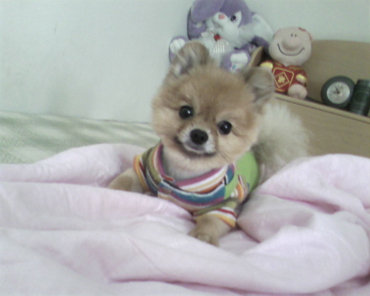 鿴ͼƬ