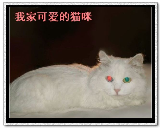 鿴ͼƬ
