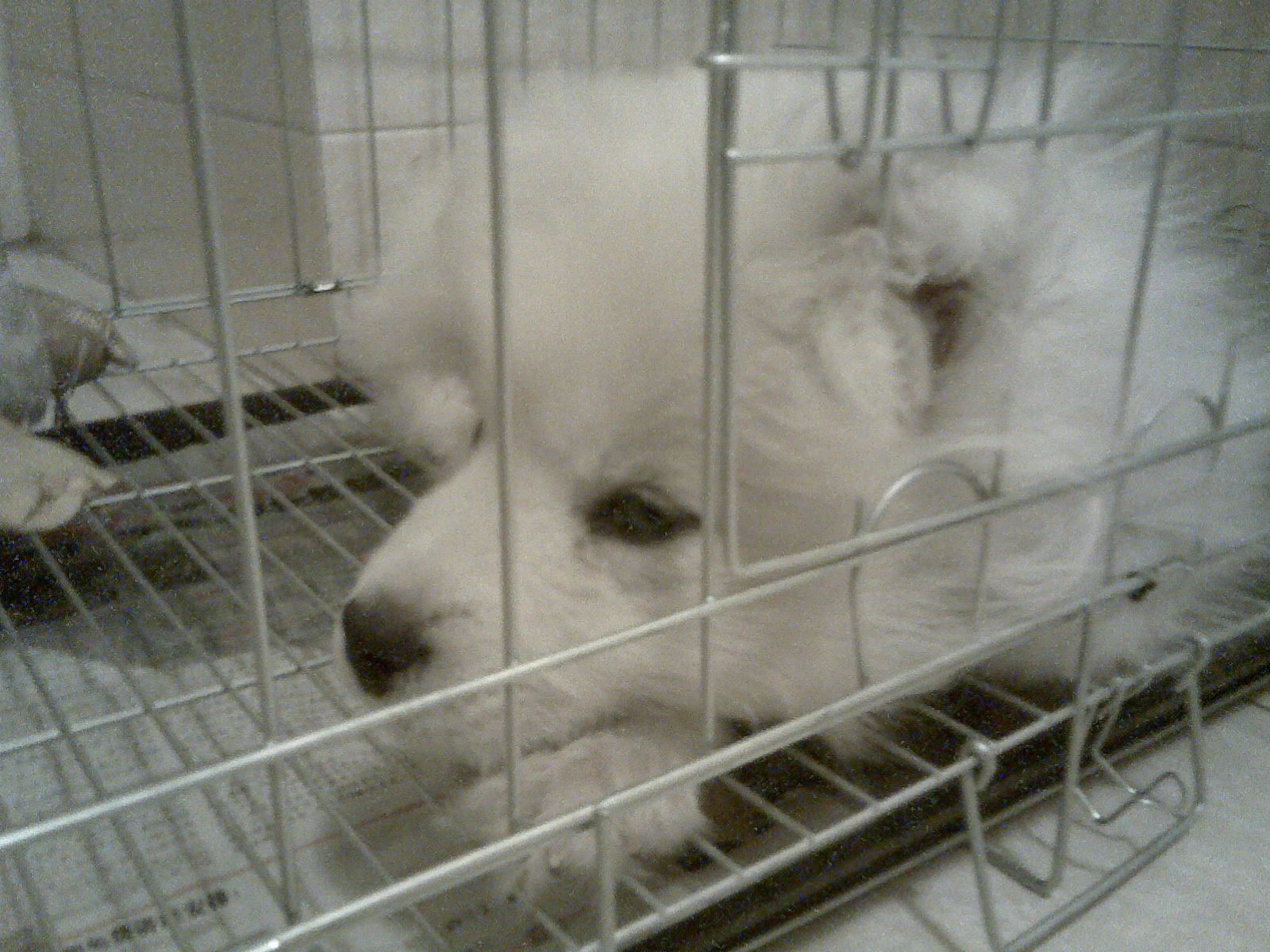 鿴ͼƬ