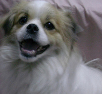 鿴ͼƬ