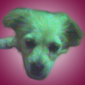 鿴ͼƬ
