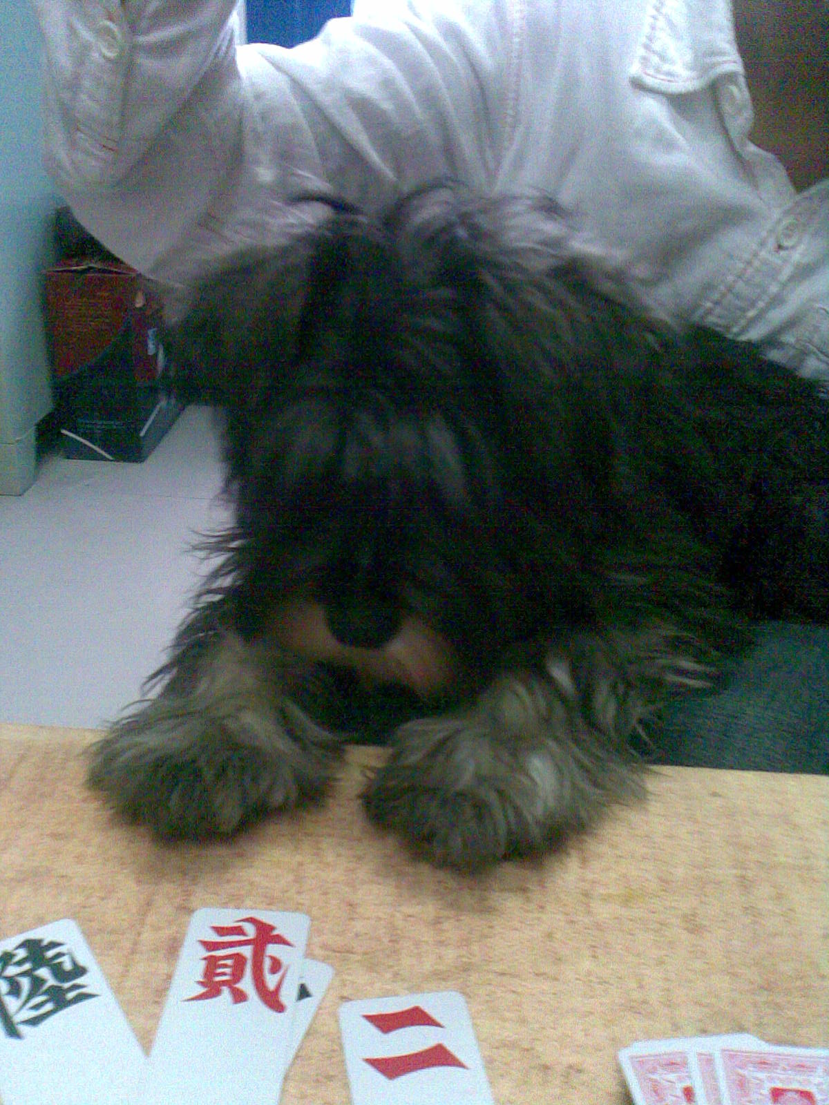 鿴ͼƬ