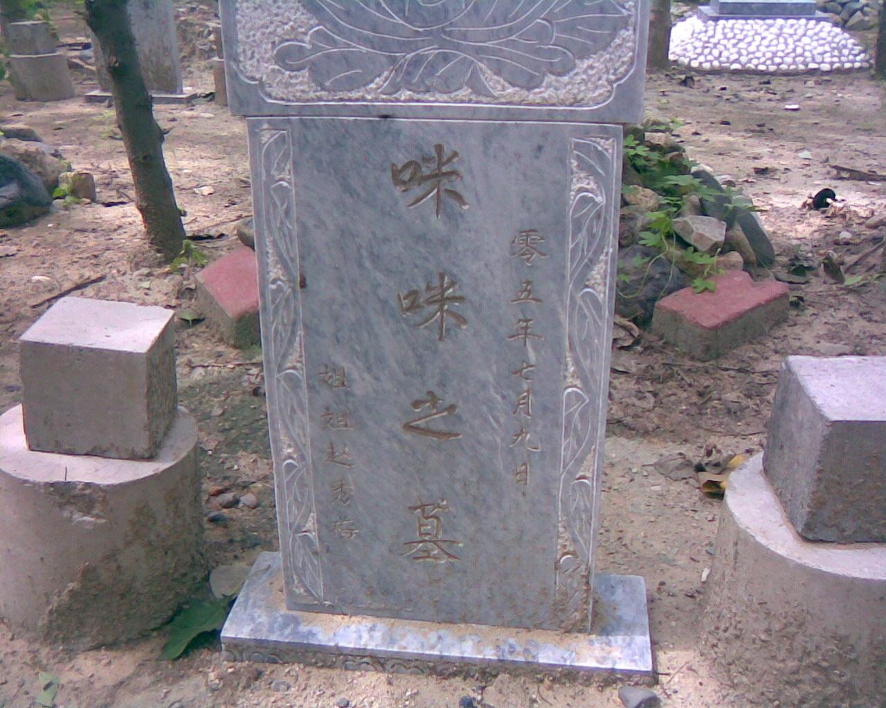 鿴ͼƬ