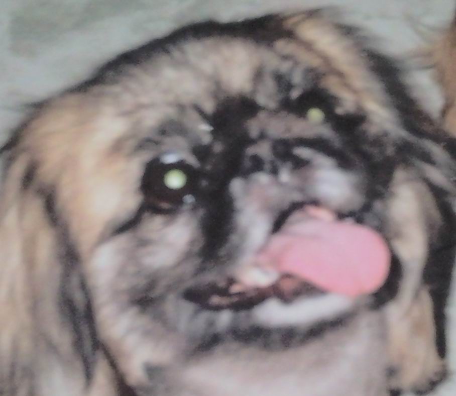 鿴ͼƬ