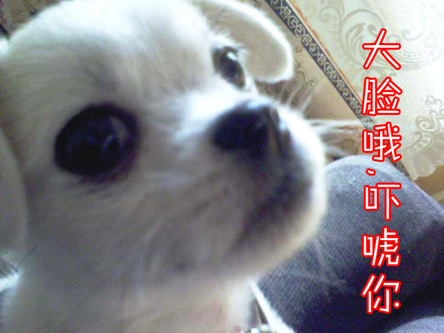 鿴ͼƬ