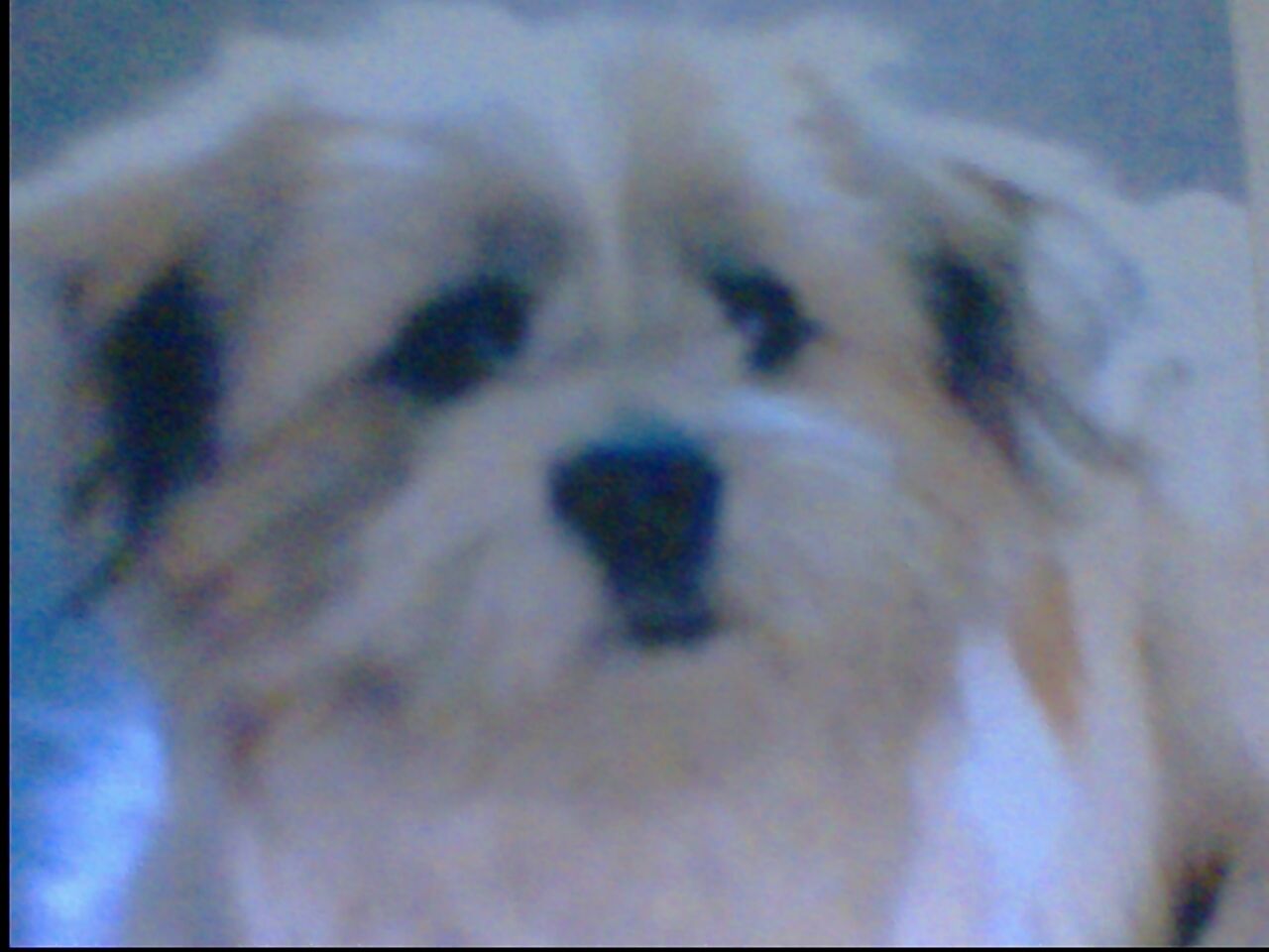 鿴ͼƬ