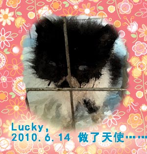 鿴ͼƬ
