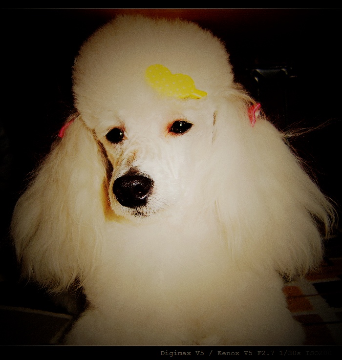 鿴ͼƬ