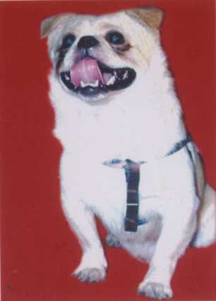 鿴ͼƬ