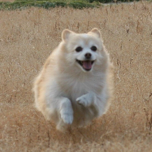 鿴ͼƬ