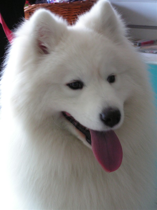 鿴ͼƬ