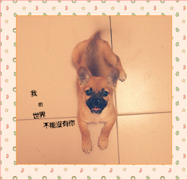 鿴ͼƬ