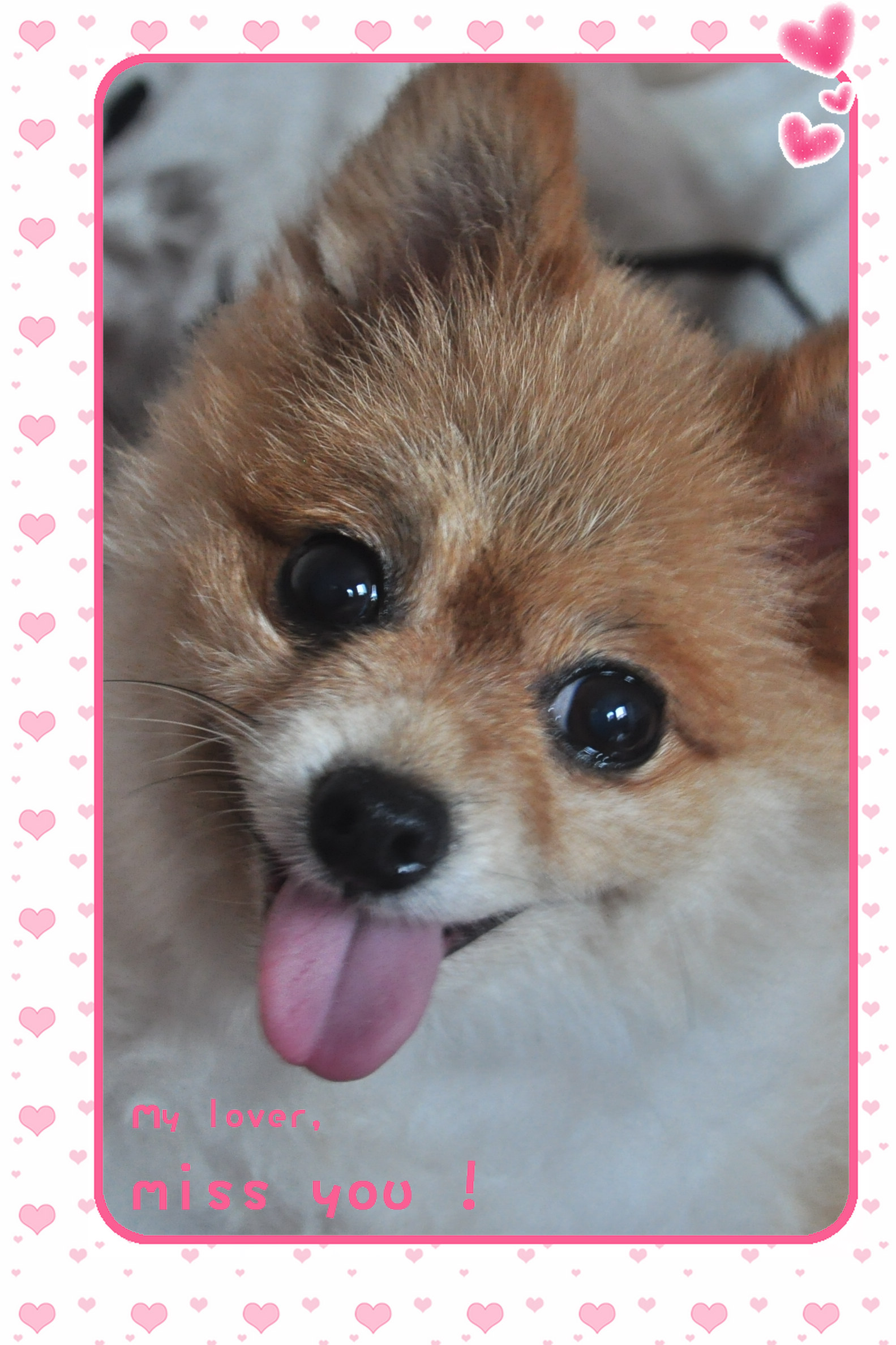 鿴ͼƬ