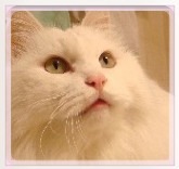 鿴ͼƬ