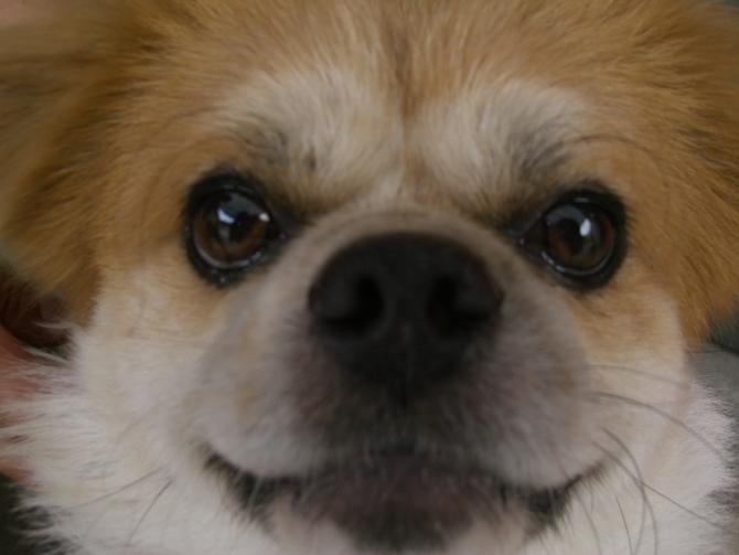 鿴ͼƬ