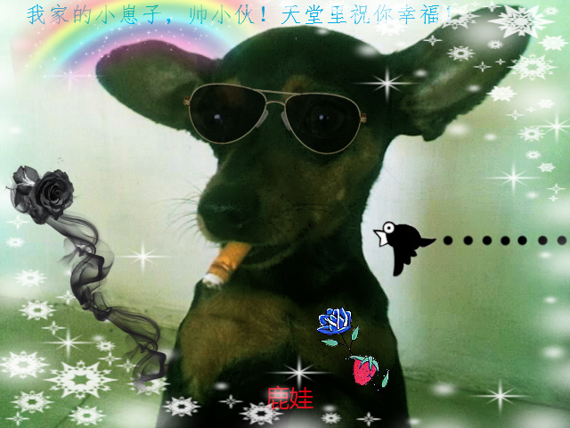 鿴ͼƬ
