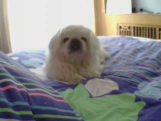 鿴ͼƬ