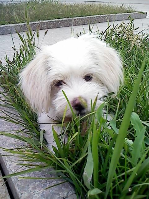 鿴ͼƬ