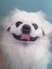 鿴ͼƬ