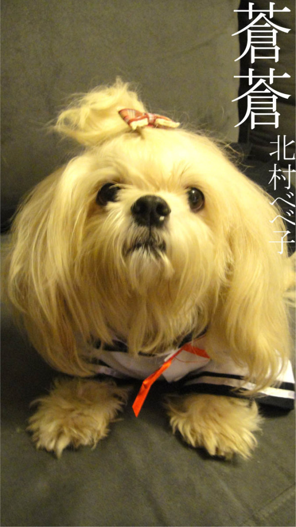鿴ͼƬ