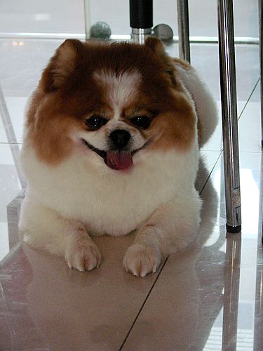 鿴ͼƬ