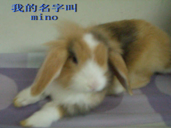 鿴ͼƬ