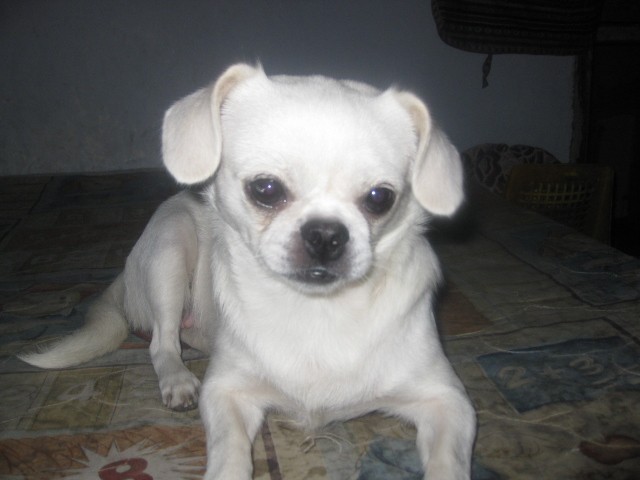 鿴ͼƬ