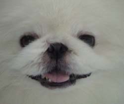 鿴ͼƬ