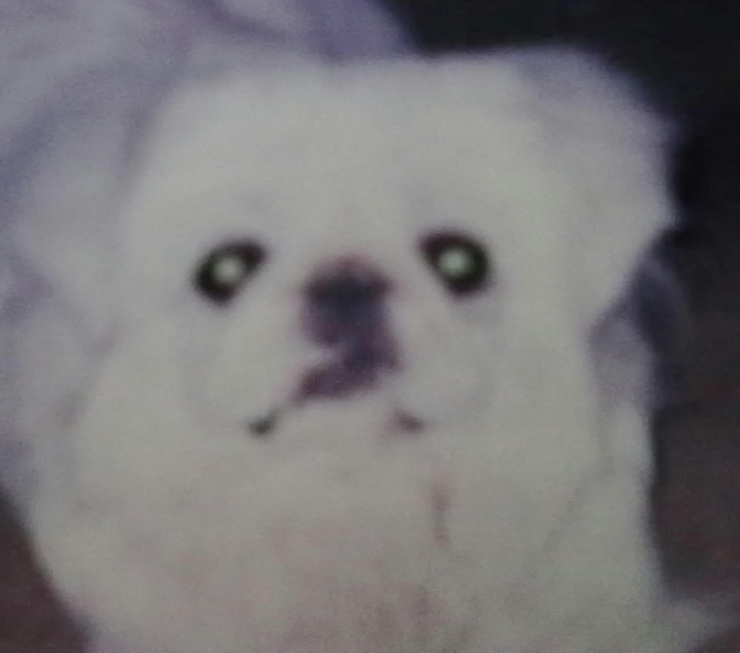 鿴ͼƬ