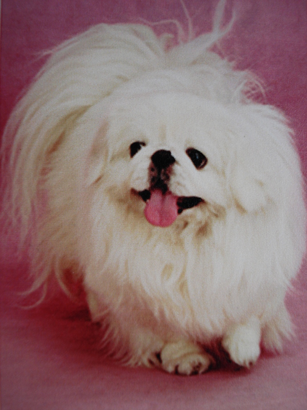 鿴ͼƬ