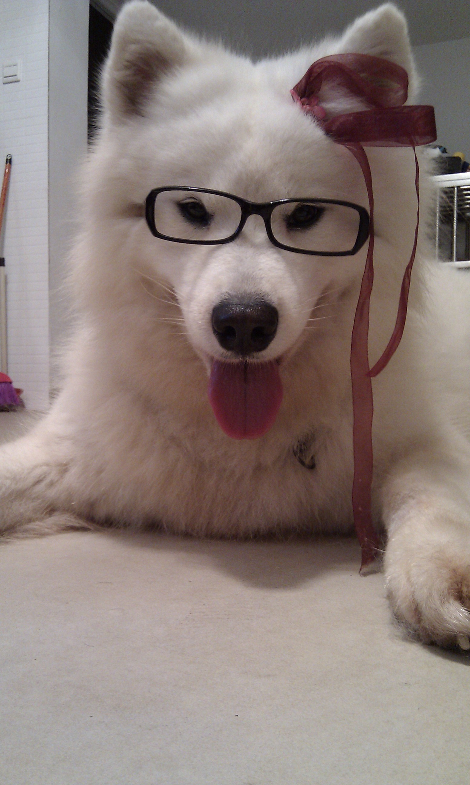 鿴ͼƬ