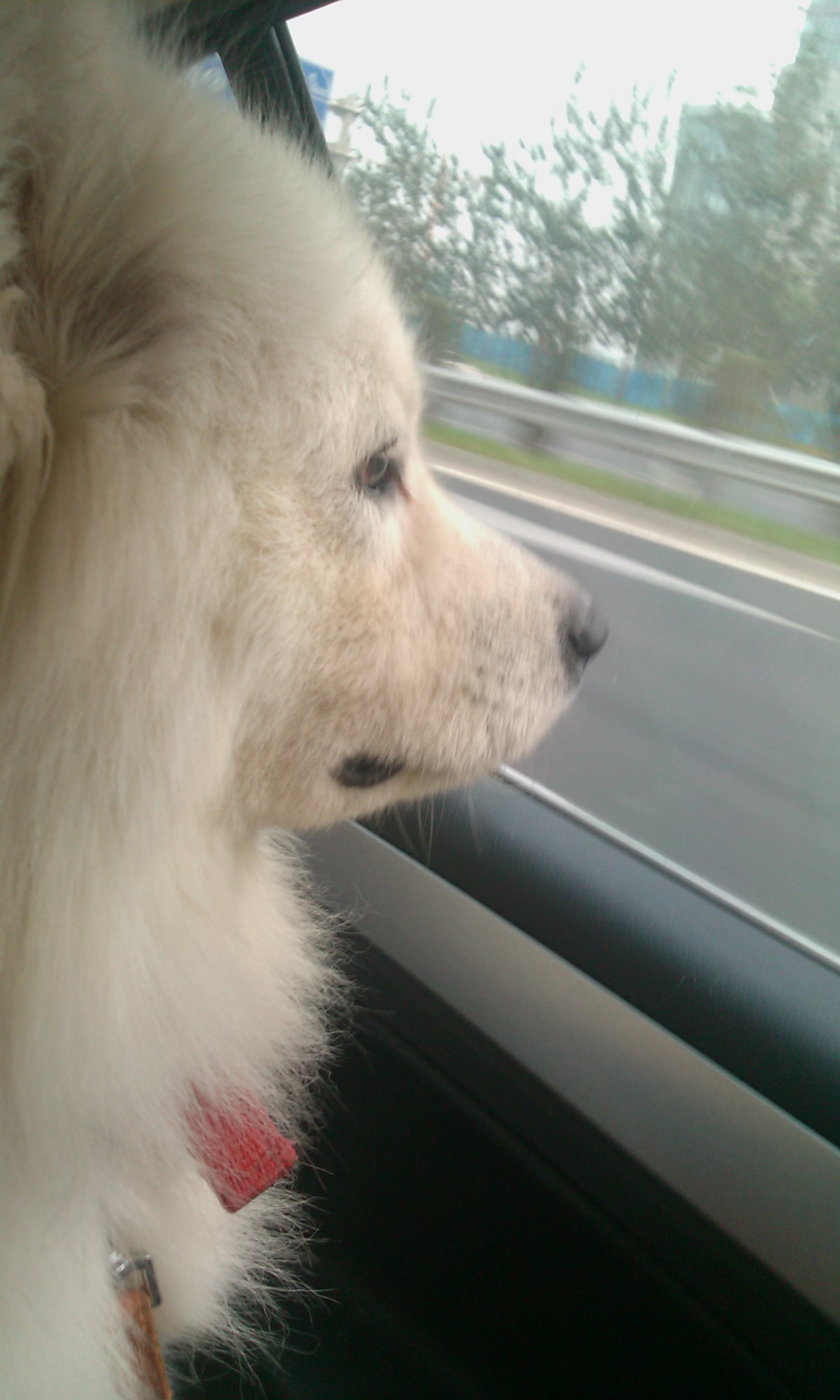 鿴ͼƬ