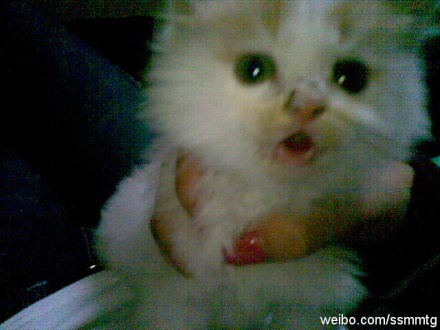 鿴ͼƬ