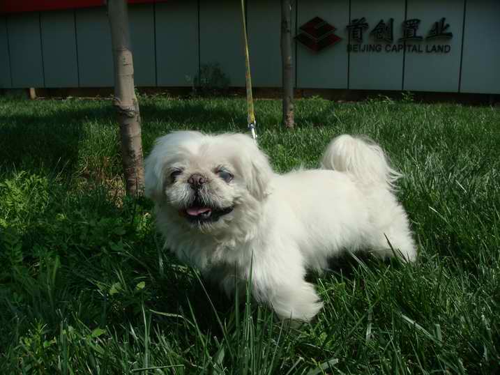 鿴ͼƬ