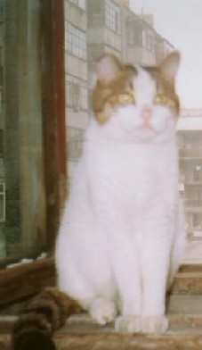 鿴ͼƬ
