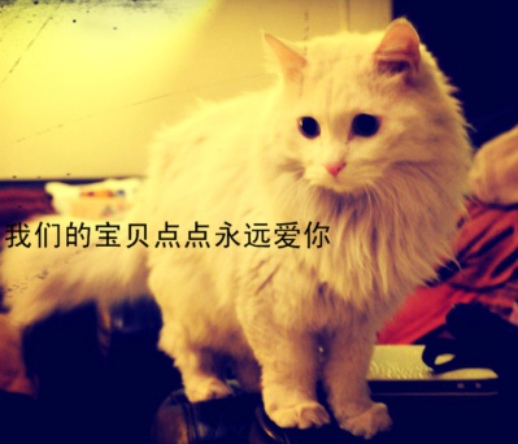 鿴ͼƬ