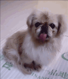 鿴ͼƬ