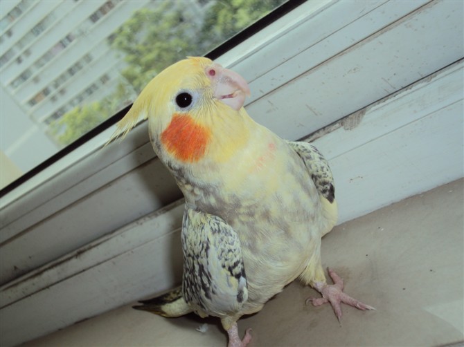 鿴ͼƬ