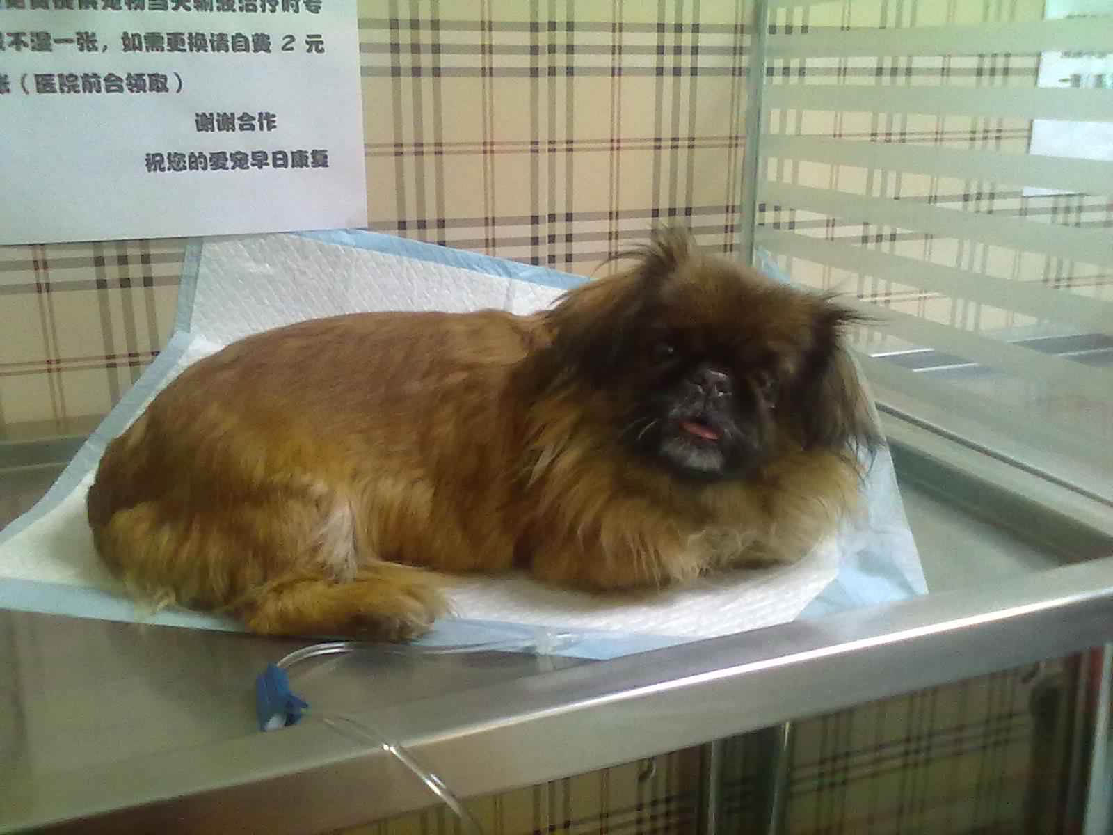 鿴ͼƬ