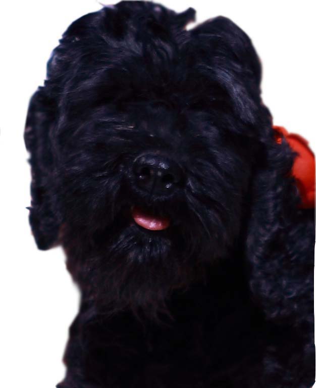 鿴ͼƬ