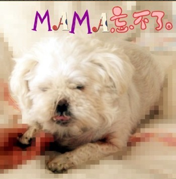 鿴ͼƬ