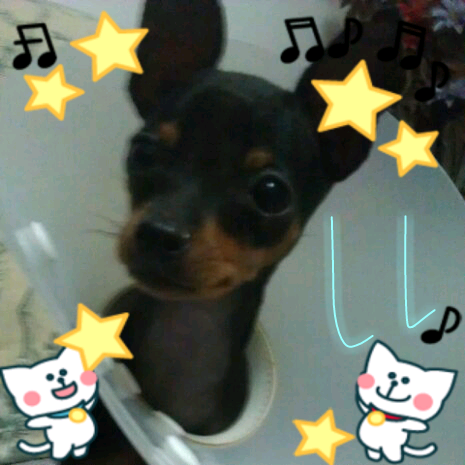 鿴ͼƬ