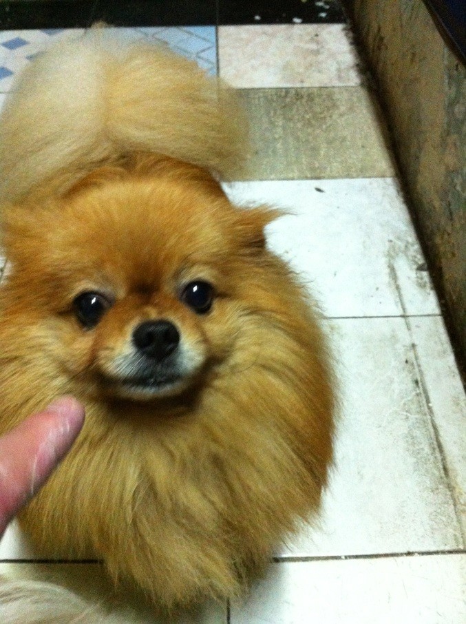 鿴ͼƬ