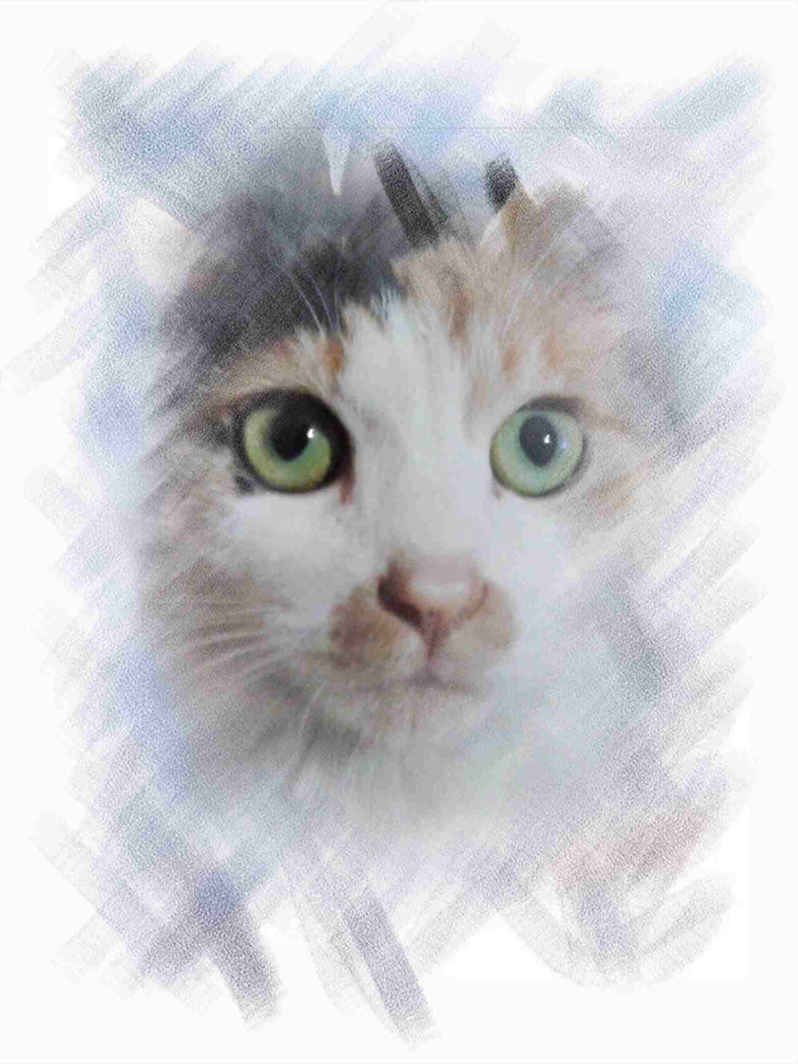 鿴ͼƬ