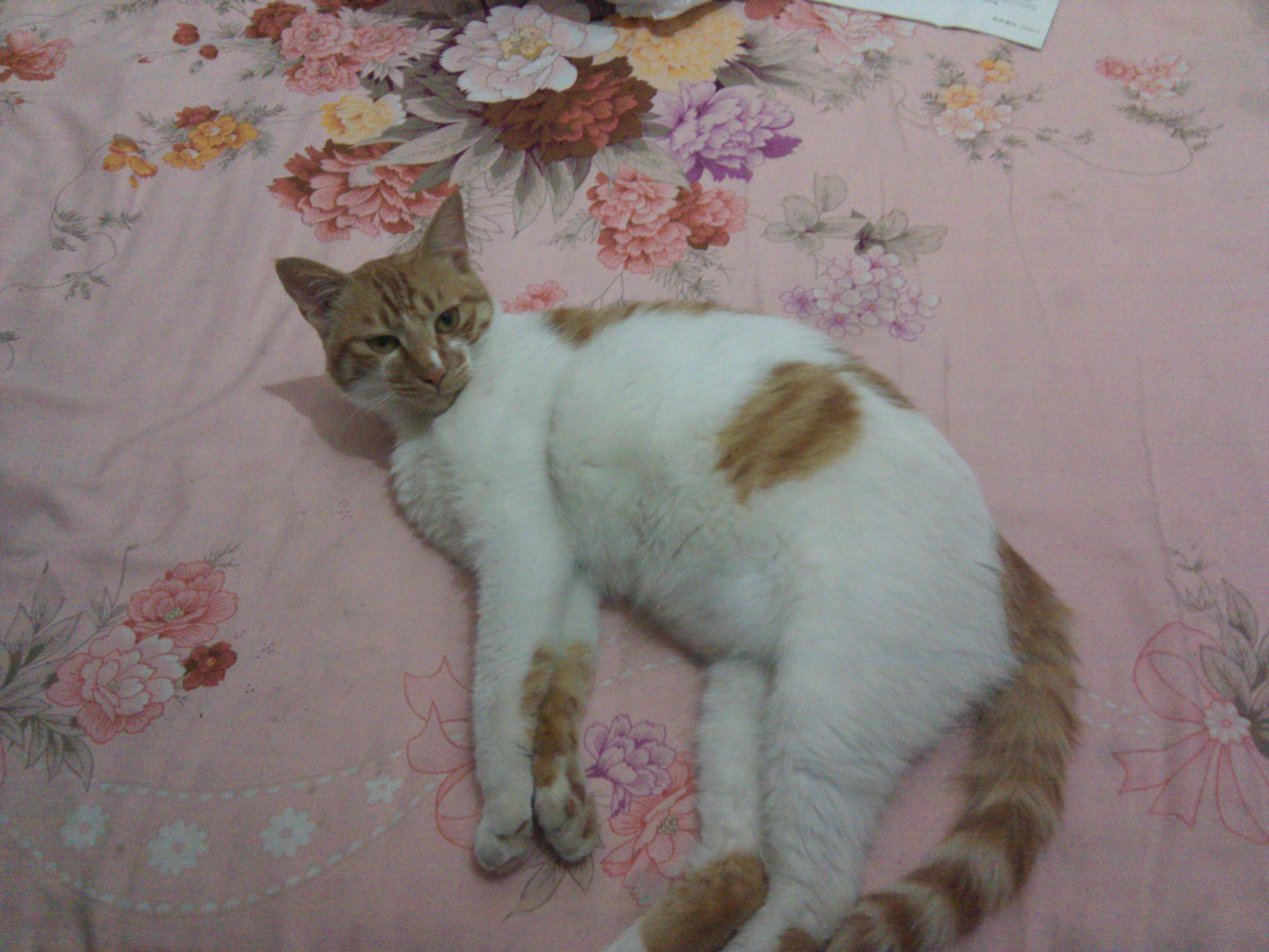 鿴ͼƬ
